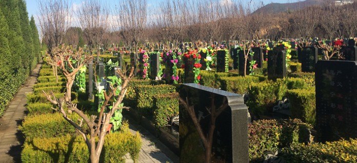西安墓園花多少錢-西安市墓園花多少錢？