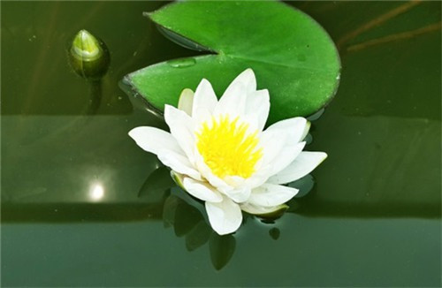 陜西省經(jīng)營性公墓一覽表