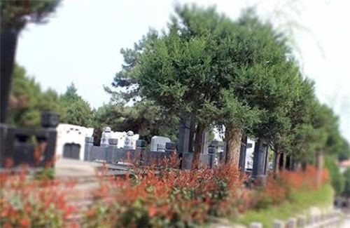 西安墓園在哪里-西安墓園：墓地在何方？