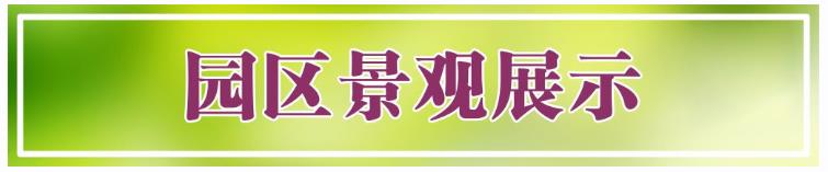 西安鯨魚溝壽陽山圖片,壽陽山公墓