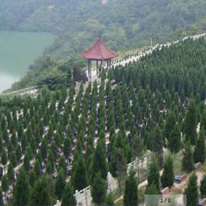 西安高橋墓園怎么樣?價格大概多少